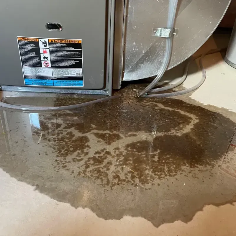 Appliance Leak Cleanup in Georgetown, PA